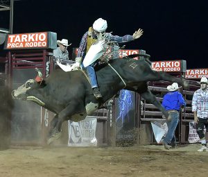 1 bull riding_2754