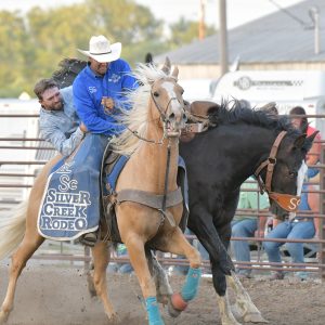 1 pickup man_2081