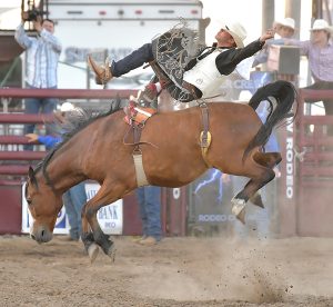 3 bareback25_1658